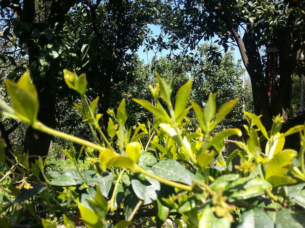 סן אנג'לו Maison Susy מראה חיצוני תמונה